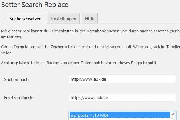 Plugin Better Search Replace in Funktion